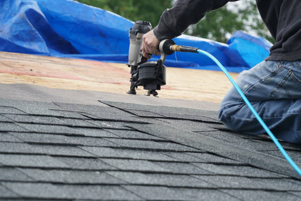 Best Storm Damage Roof Repair  in Berlin, MD